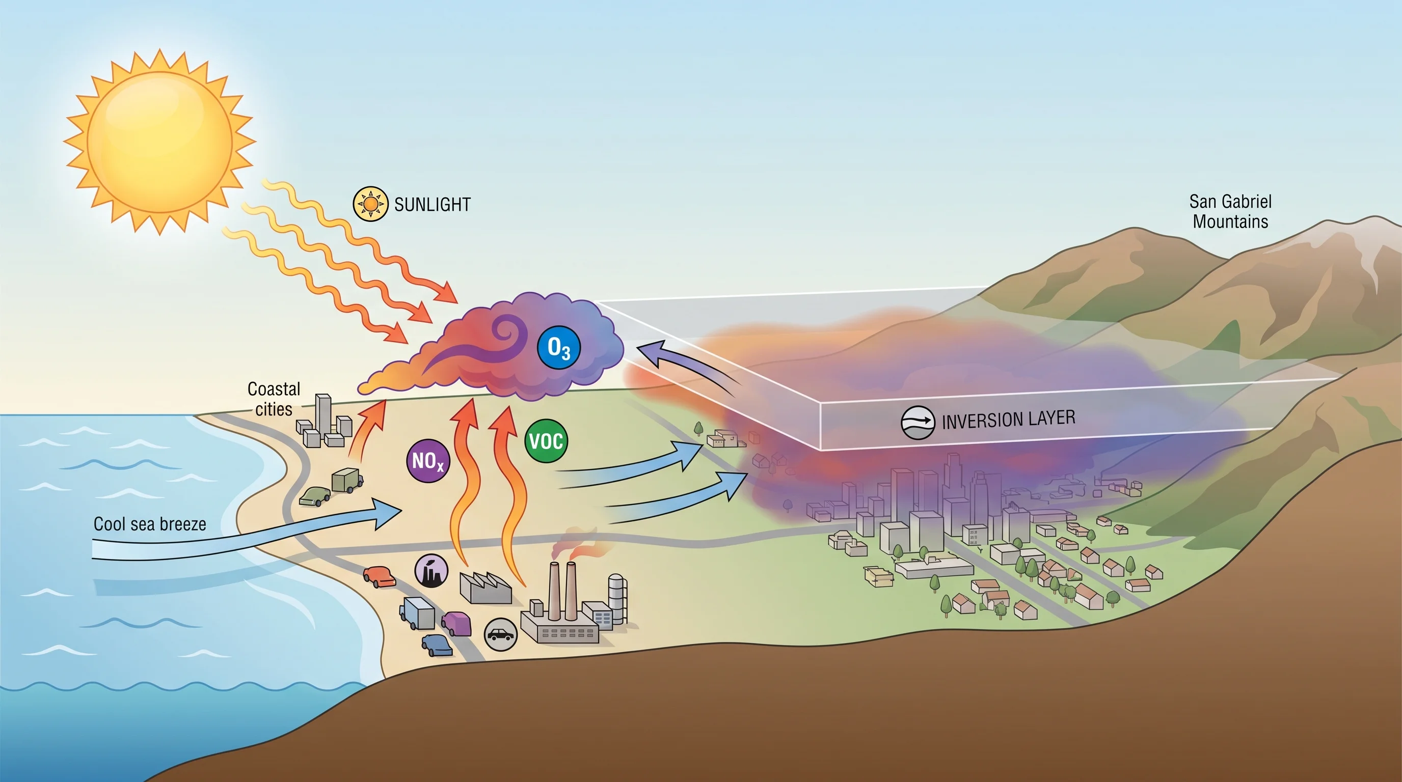 Diagram showing NOx and VOC emission sources, sunlight-driven chemical reactions producing ground-level ozone, sea-breeze transport inland, and an inversion layer limiting vertical mixing over the Los Angeles Basin