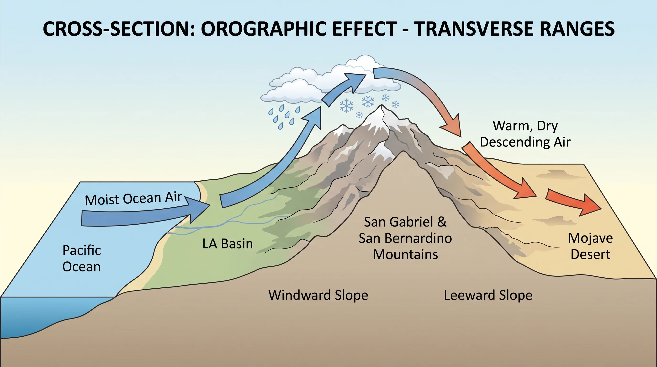 Labeled cross-section across the Transverse Ranges showing ocean air rising on the windward slope, condensation and precipitation near the crest, and warm dry descending air on the desert-facing leeward slope