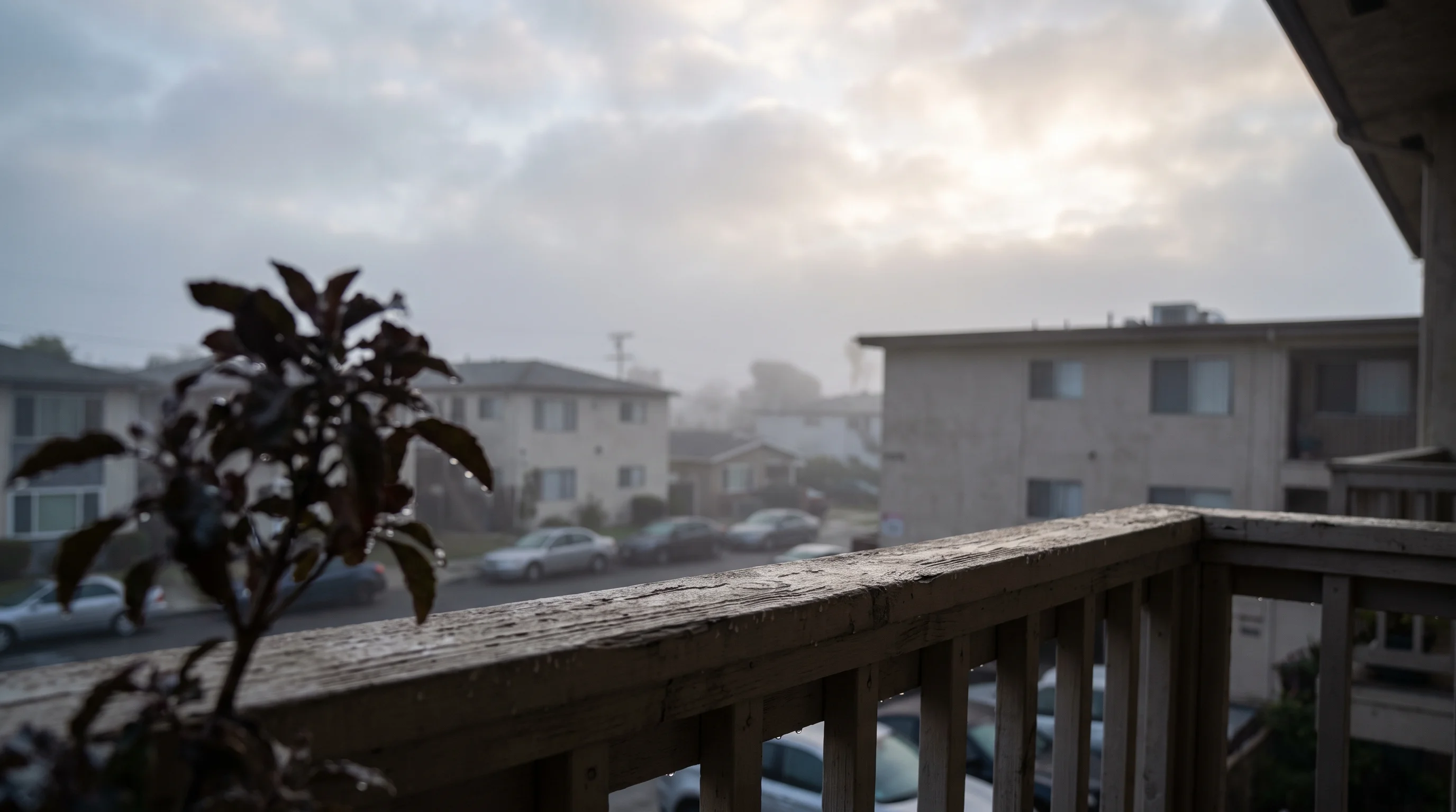LA Humidity vs. Dew Point: What's the Difference?