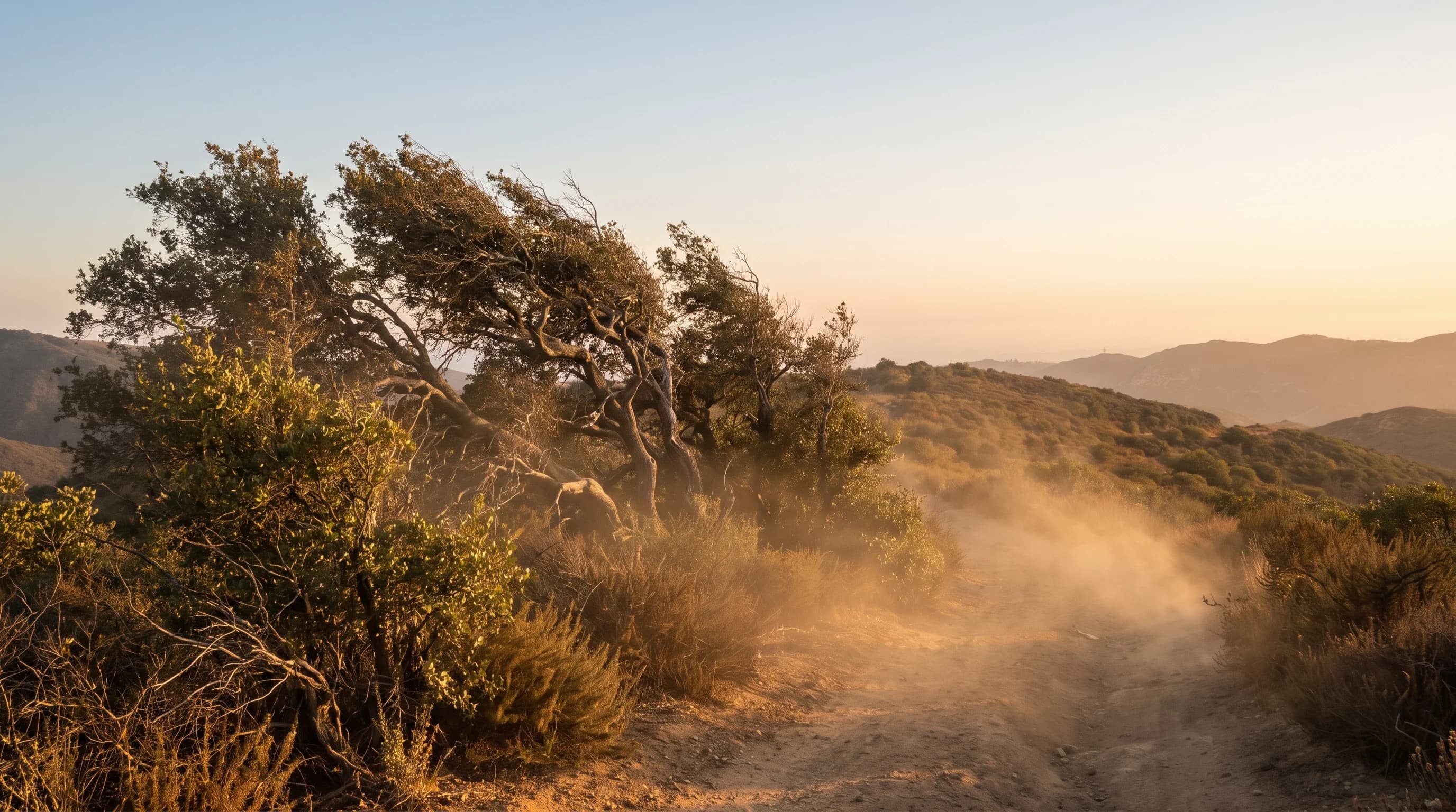 Santa Ana Winds: LA's Hot, Dry Fire-Weather Winds
