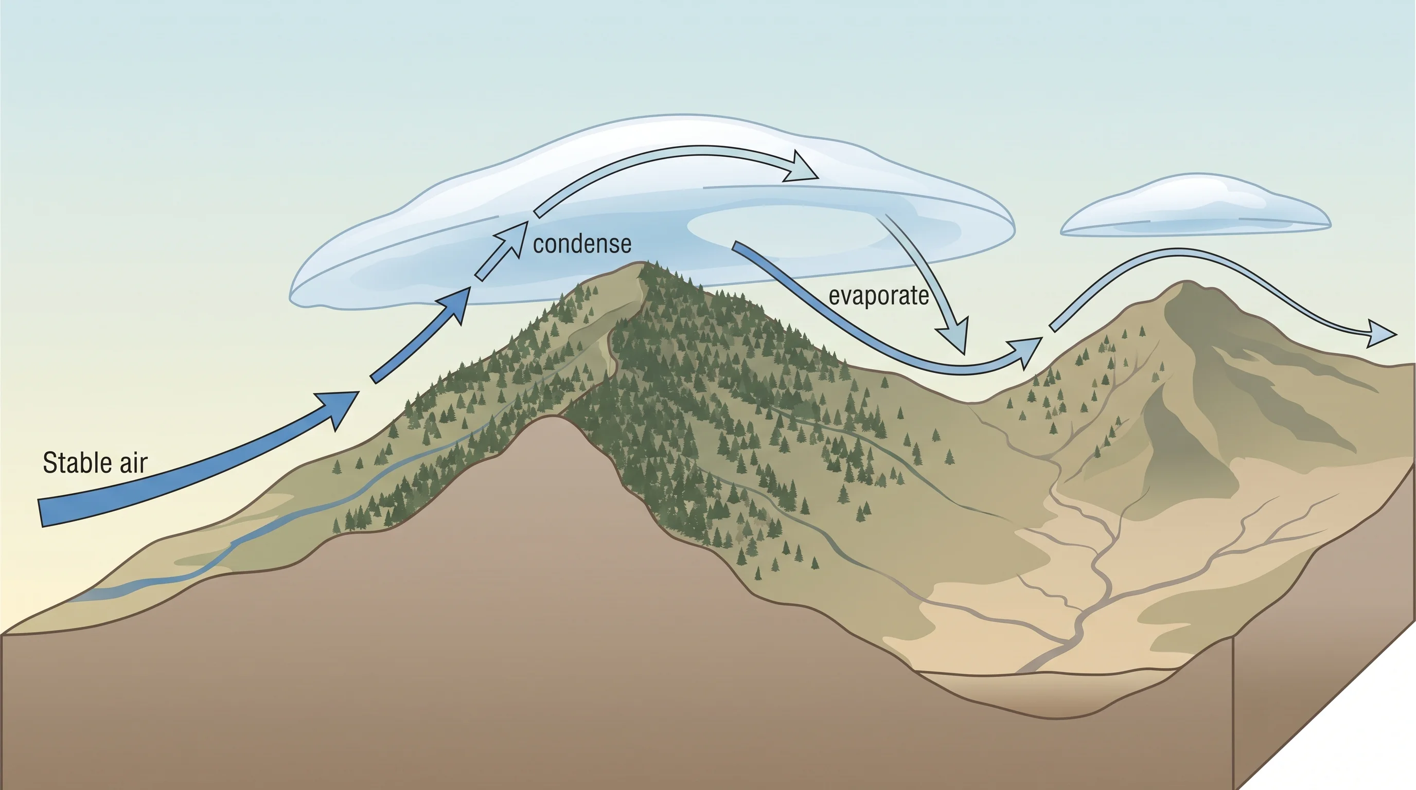 A mountain-wave cross-section diagram showing stable air flowing up and over a ridge, condensing into a lens-shaped cloud at the crest of a standing wave, then descending and evaporating in the trough before rising again at the next wave crest