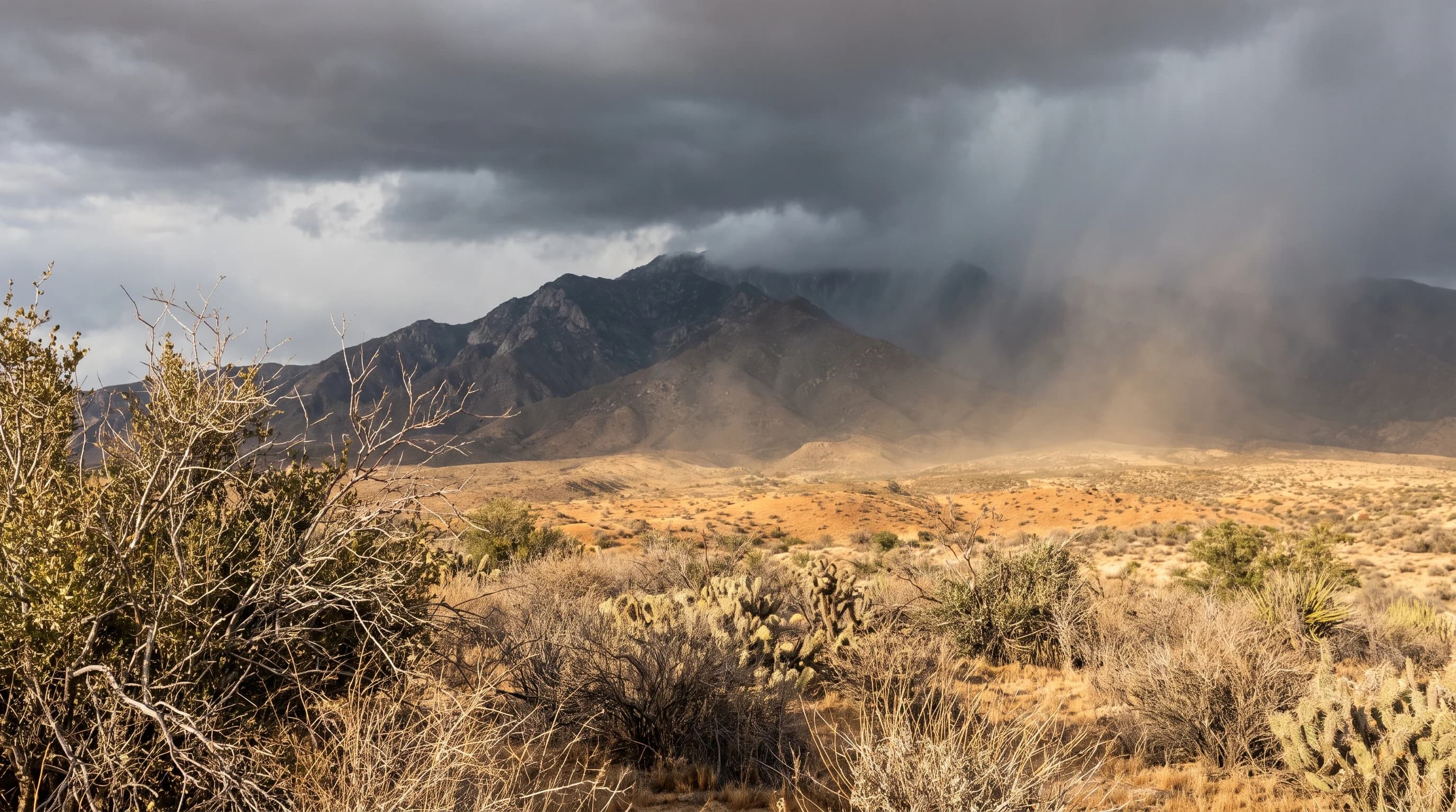 Rain Shadow: Palm Springs Dry, San Gabriels Soaked