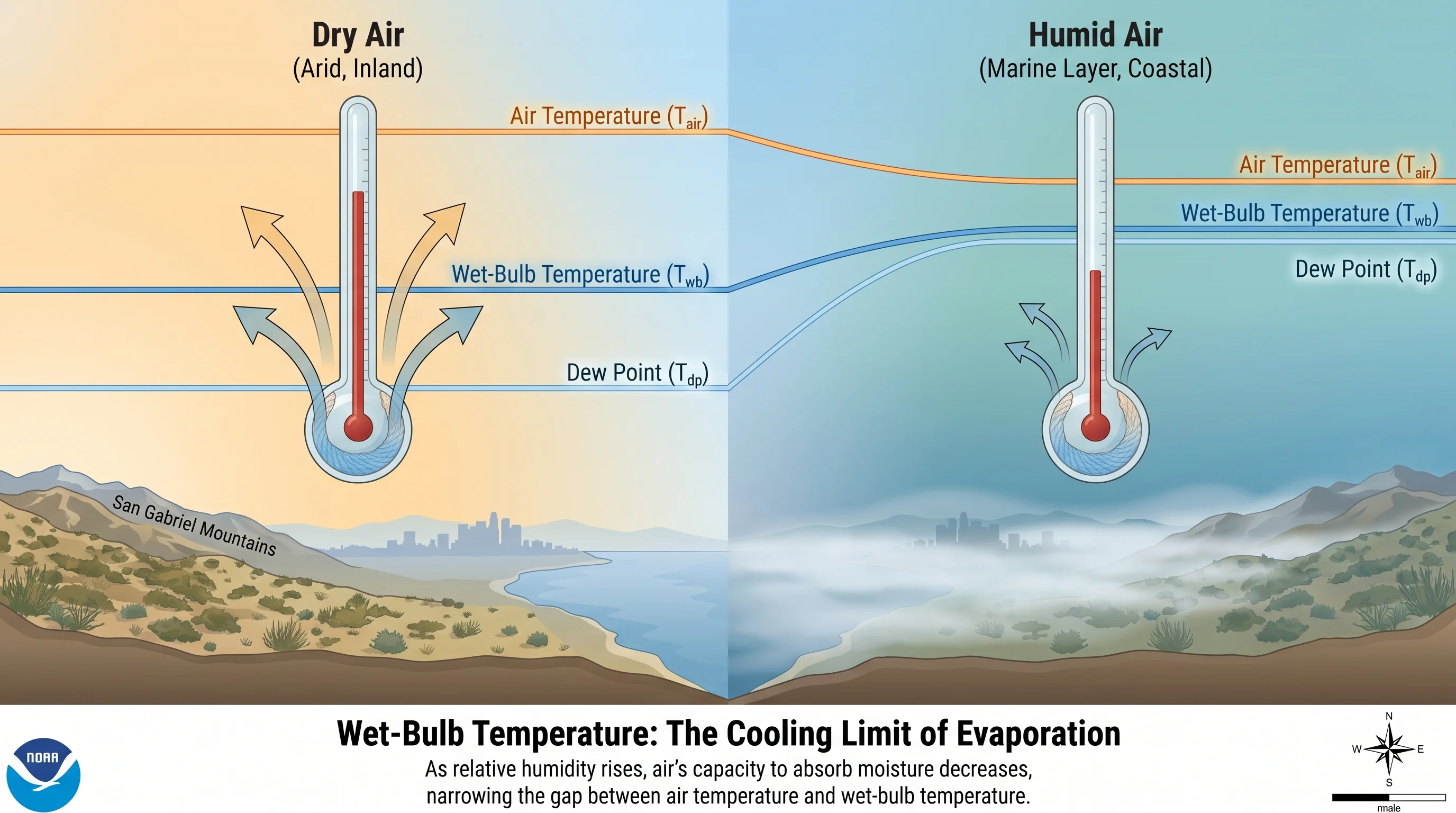 A psychrometric-style diagram showing water evaporating from a wetted thermometer bulb in dry air versus humid air, with labeled air temperature, dew point, and wet-bulb temperature lines converging as humidity rises