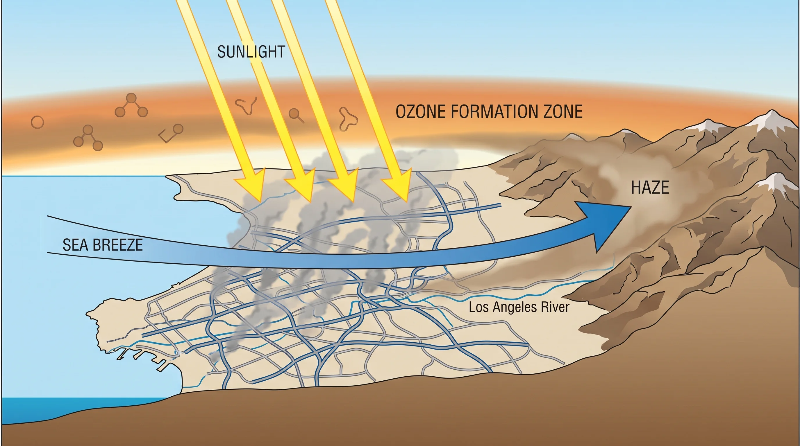 A diagram showing vehicle exhaust rising from freeways across the Los Angeles Basin, sunlight arrows striking the emissions, a labeled ozone formation zone, and a sea breeze arrow carrying the haze inland toward the mountains